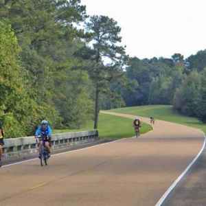 A few of Bubba's Pampered Pedalers