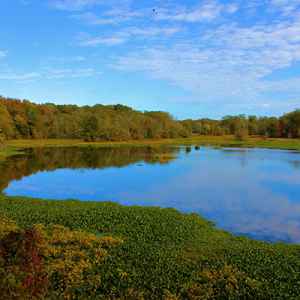 River Bend - Mississippi - milepost 122.6