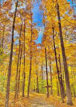 Tennessee - Timberland Park - milepost 437.2