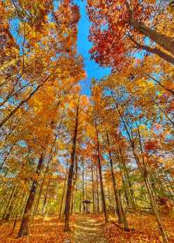Tennessee - Timberland Park - milepost 437.2