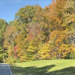 Fall colors near the northern end of the Parkway.