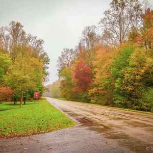 Tennessee - Parkway at the Holly site - milepost 346.2
