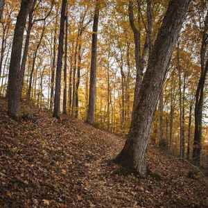 Garrison Creek trail
