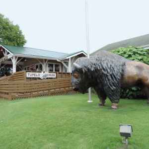 Tupelo Buffalo Park & Zoo