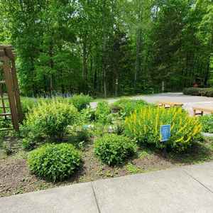 Butterfly Garden at Timberland Park