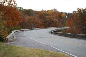 Curvy Treetop Bridge at milepost 436