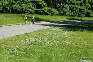 Bicyclists near milepost 439