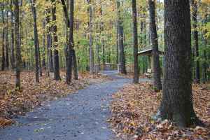 Timberland Park at milepost 437.2