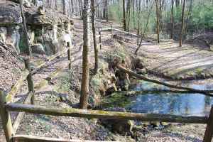 Buzzard Roost Spring at milepost 320.3 - Alabama