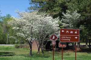Dogwoods in bloom at Colbert Ferry milepost 327.3 - Alabama