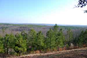 Freedom Hills Overlook at milepost 317 - Alabama