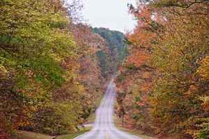 Parkway near Rock Spring at milepost 330.3 - Alabama