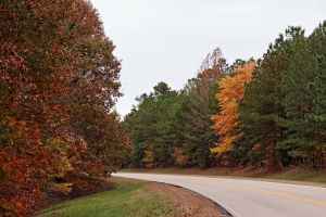 Parkway near milepost 318 - Alabama