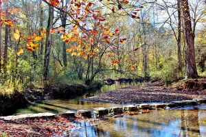 Rock Spring at milepost 330.2 - Alabama