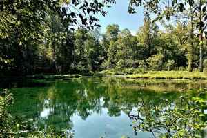 Rock Spring at milepost 330.2 - Alabama