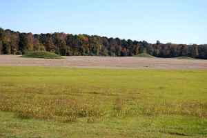 Pharr Indian Mounds at milepost 286.7