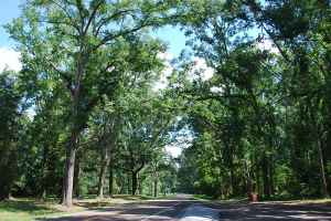 Parkway at Bullen Creek site - milepost 18.4 - Mississippi