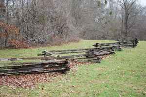 Fence Row at North Fork Coles Creek - milepost 23 - Mississippi