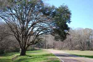 Parkway at Old Trace Exhibit Shelter - milepost 8.7