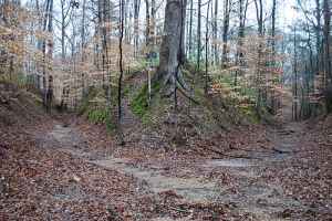 Old Trace at the Sunken Trace site - milepost 41.5