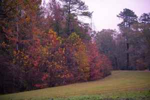 Autumn on the Natchez Trace Parkway at milepost 12