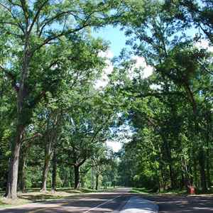 Parkway view from the Bullen Creek site.