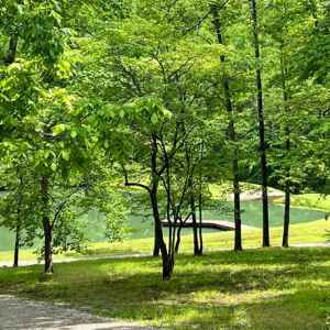 Pond View from Cottage Porch