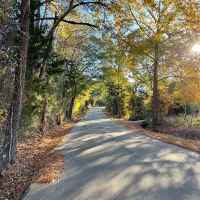 County Road 961 at Rock Creek Farm