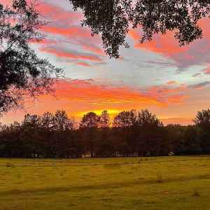 Sunset view from Deck